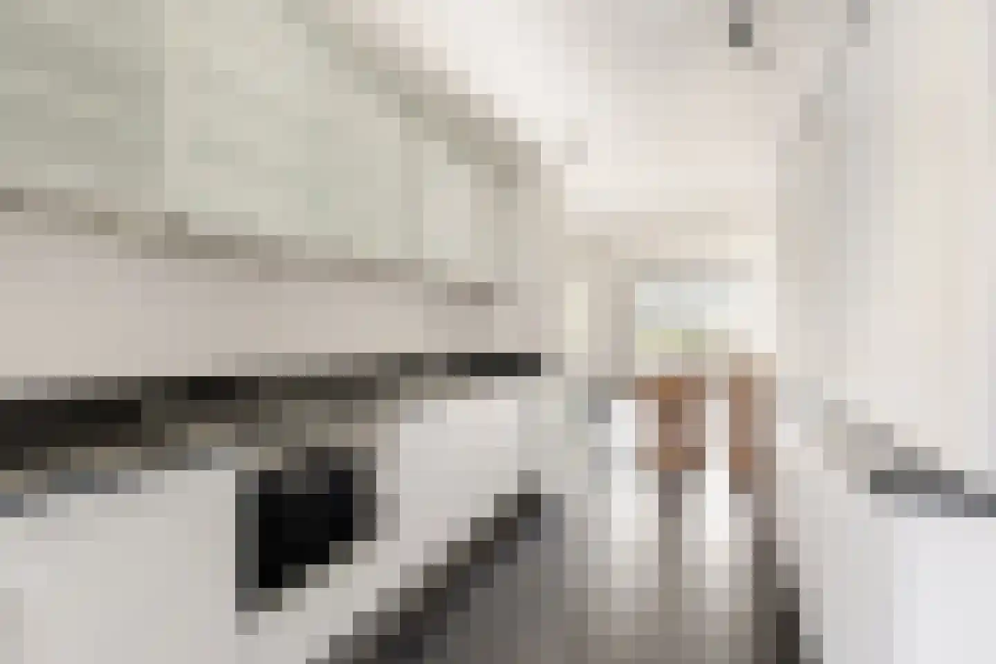 Van der Duyn van Maasdamstraat 2 Haarlem thumbnail 9