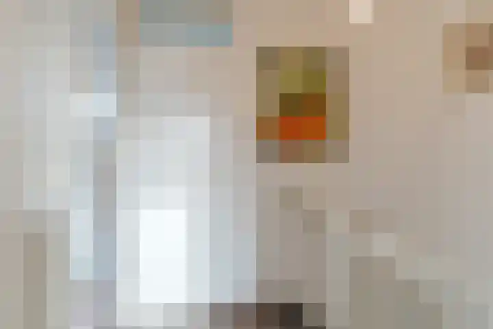 van der Duyn van Maasdamstraat 21 Culemborg thumbnail 14