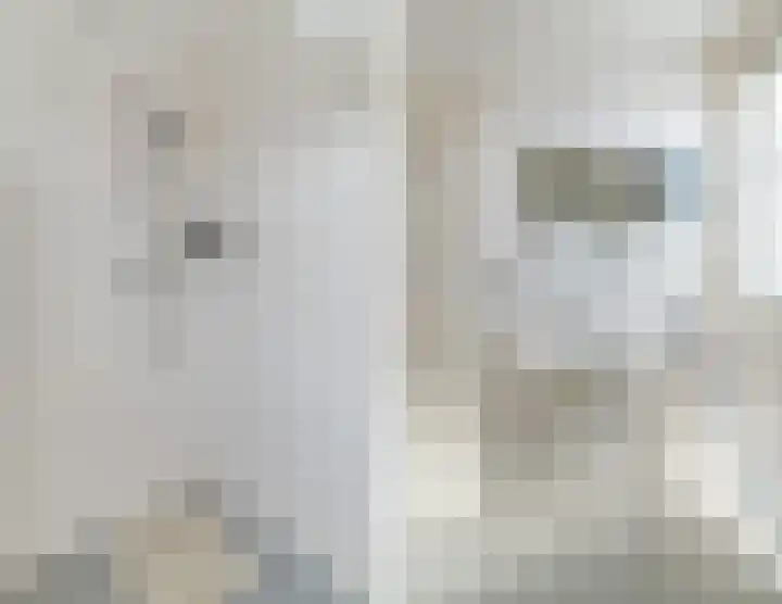 van der Duyn van Maasdamstraat 21 Culemborg thumbnail 21