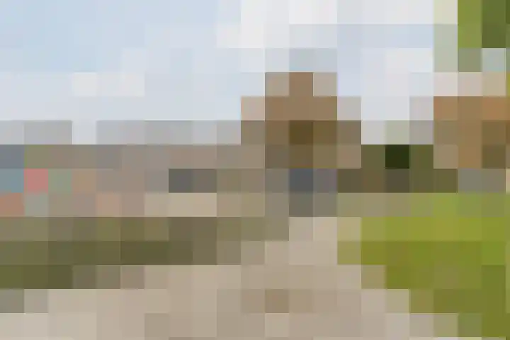 van der Duyn van Maasdamstraat 21 Culemborg thumbnail 22