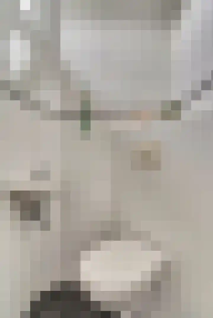 Van der Duyn van Maasdamstraat 22 Elst thumbnail 14