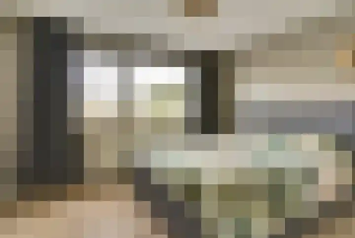 Van der Duyn van Maasdamstraat 22 Elst thumbnail 16
