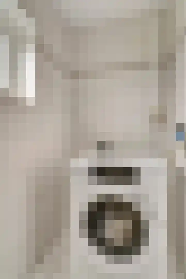 Van der Duyn van Maasdamstraat 22 Elst thumbnail 22