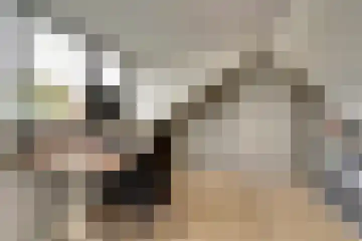 Van der Duyn van Maasdamstraat 22 Elst thumbnail 25