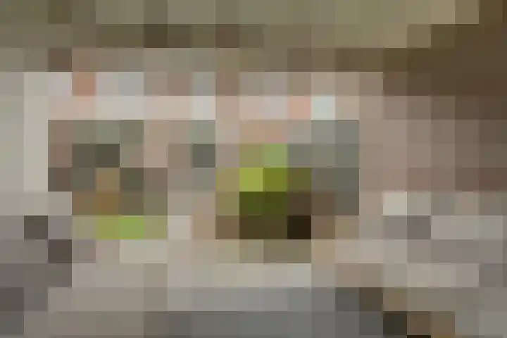 Van der Duyn van Maasdamstraat 22 Elst thumbnail 29