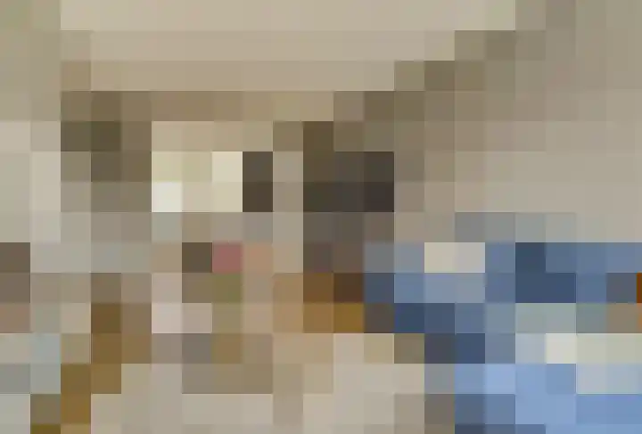 Van der Duyn van Maasdamstraat 22 Elst thumbnail 5