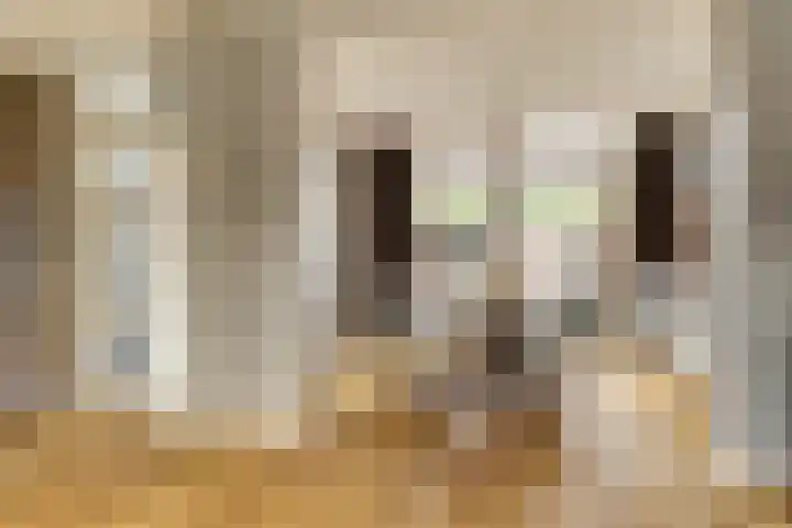 Van der Duyn van Maasdamstraat 22 Elst thumbnail 7
