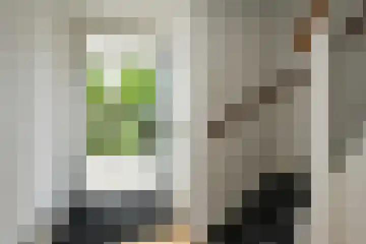 Van der Duyn van Maasdamstraat 24 Elst thumbnail 12