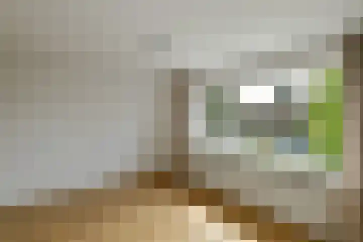 Van der Duyn van Maasdamstraat 24 Elst thumbnail 16