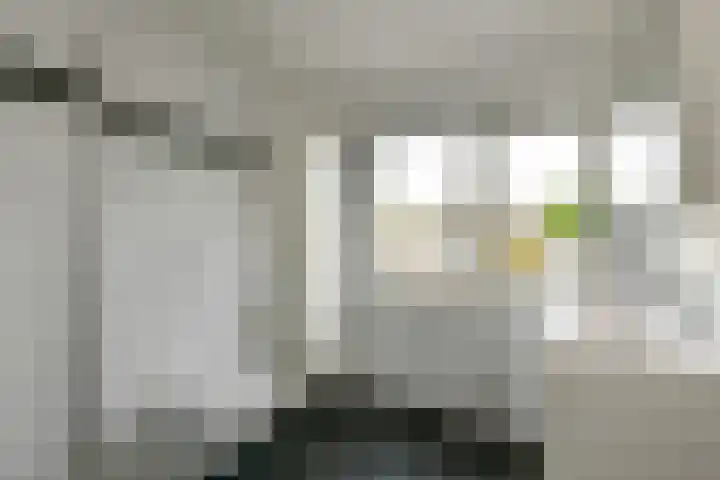 Van der Duyn van Maasdamstraat 24 Elst thumbnail 18