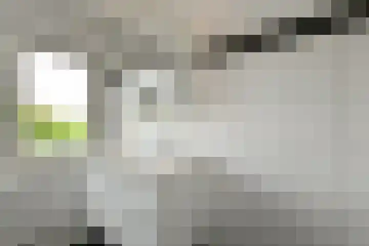 Van der Duyn van Maasdamstraat 24 Elst thumbnail 19