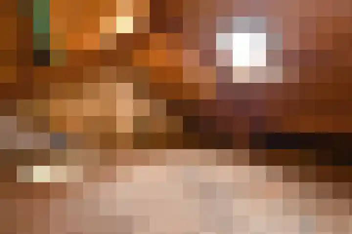 Van der Duyn van Maasdamstraat 24 Elst thumbnail 24