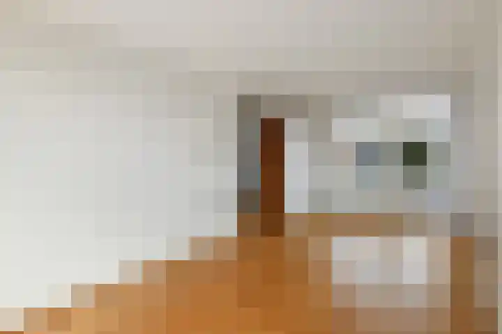 Van der Duyn van Maasdamstraat 24 Elst thumbnail 5