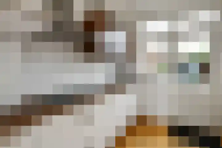 Van der Duyn van Maasdamstraat 24 Elst thumbnail 8