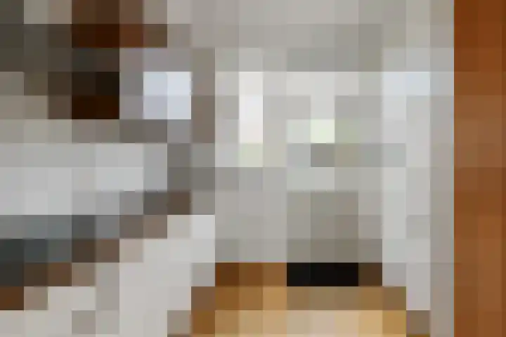Van der Duyn van Maasdamstraat 24 Elst thumbnail 9