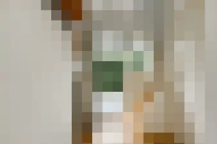 Van der Duyn van Maasdamstraat 26 Elst thumbnail 12