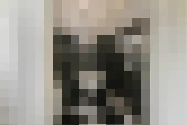 Van der Duyn van Maasdamstraat 26 Elst thumbnail 22