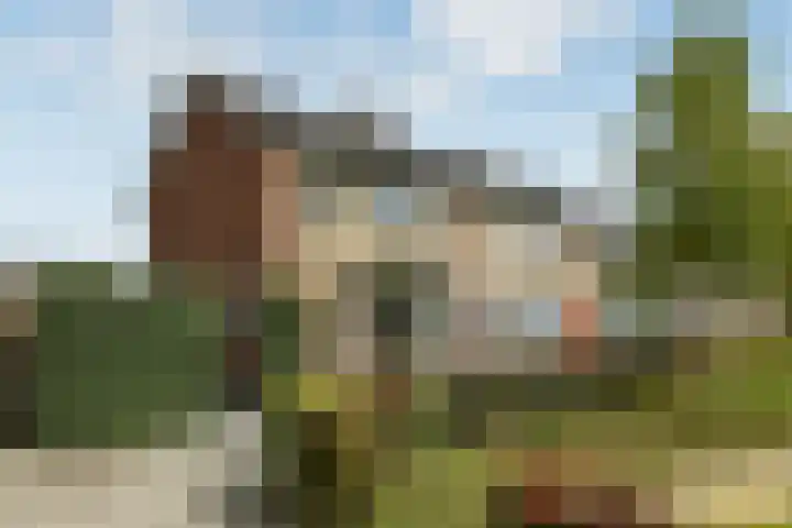 Van der Duyn van Maasdamstraat 26 Elst thumbnail 4