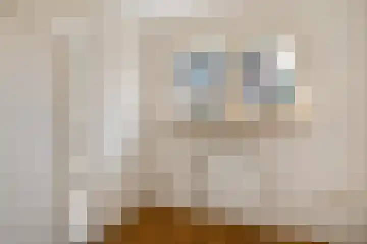 Van der Duyn van Maasdamstraat 26 Elst thumbnail 41