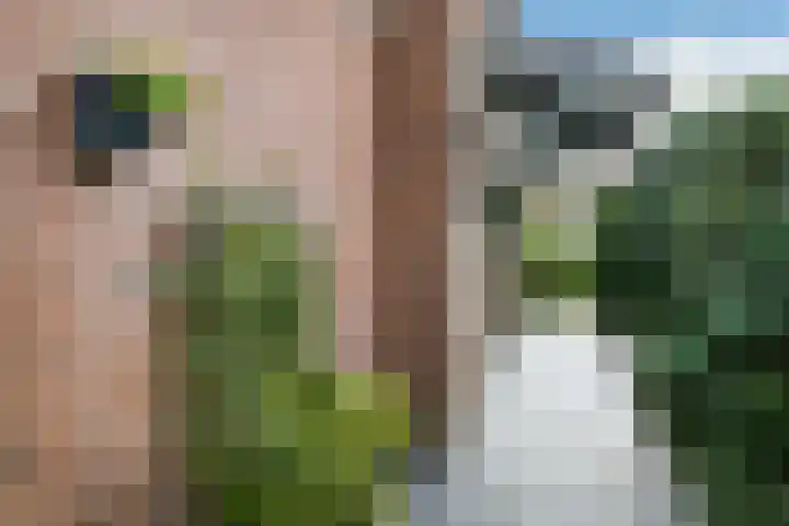 Van der Duyn van Maasdamstraat 26 Elst thumbnail 44