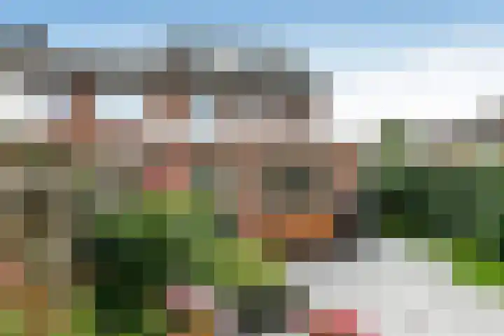 Van der Duyn van Maasdamstraat 26 Elst thumbnail 46