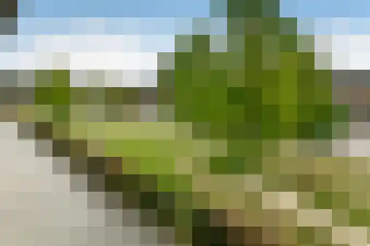 Van der Duyn van Maasdamstraat 26 Elst thumbnail 5