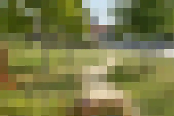 Van der Duyn van Maasdamstraat 26 Elst thumbnail 7