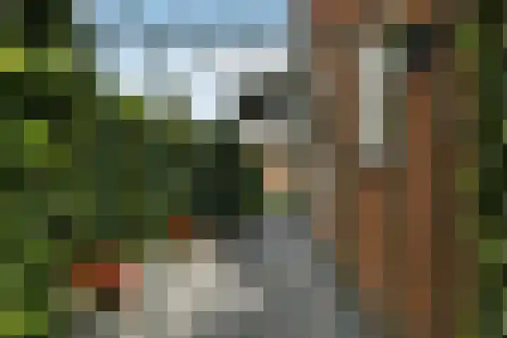 Van der Duyn van Maasdamstraat 26 Elst thumbnail 8