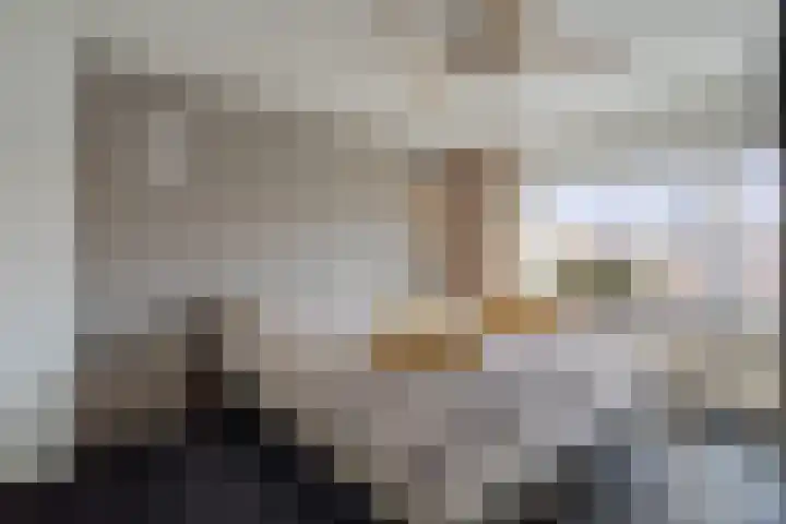 Van der Duyn van Maasdamstraat 30 Lunteren thumbnail 18