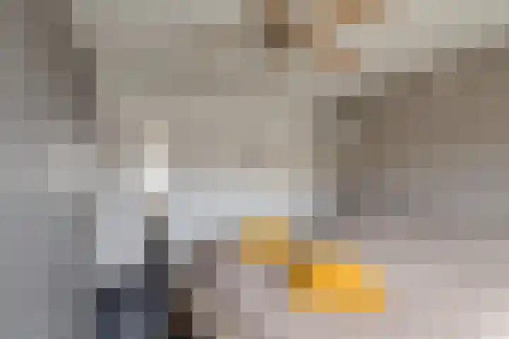 Van der Duyn van Maasdamstraat 30 Lunteren thumbnail 19
