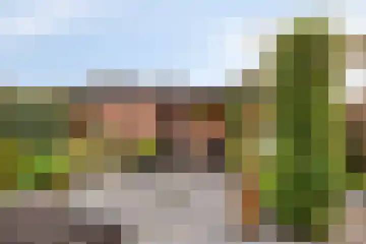 Van der Duyn van Maasdamstraat 30 Lunteren thumbnail 27