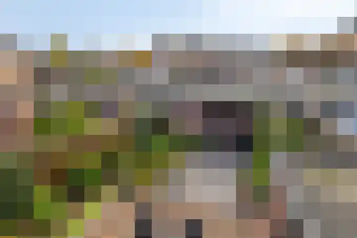 Van der Duyn van Maasdamstraat 30 Lunteren thumbnail 33