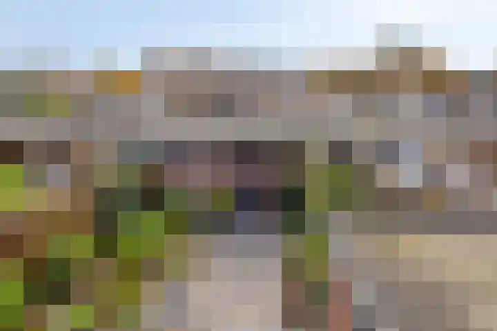 Van der Duyn van Maasdamstraat 30 Lunteren thumbnail 34
