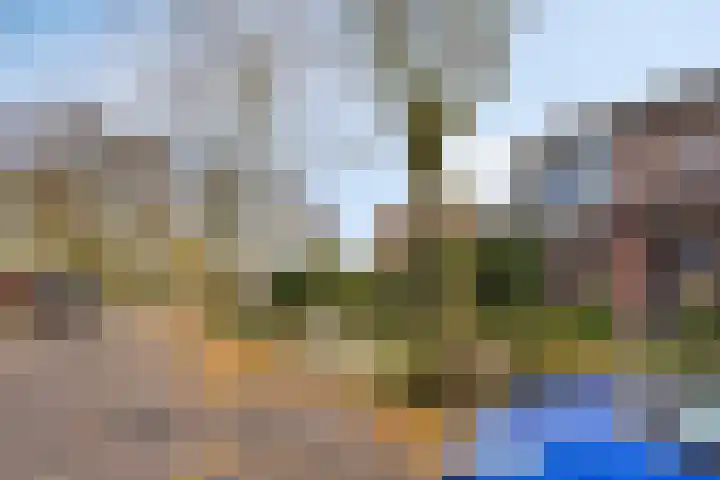 Van der Duyn van Maasdamstraat 30 Lunteren thumbnail 36
