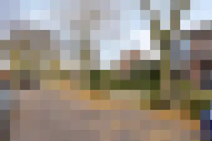 Van der Duyn van Maasdamstraat 30 Lunteren thumbnail 37