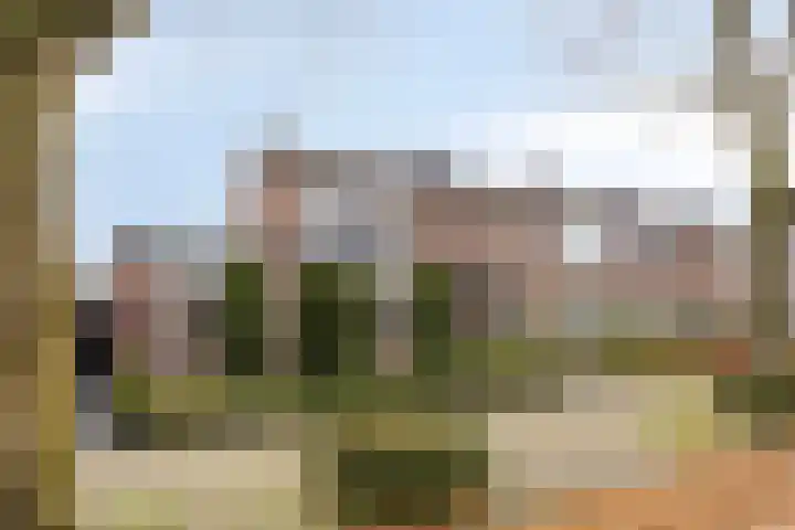 Van der Duyn van Maasdamstraat 30 Lunteren thumbnail 38