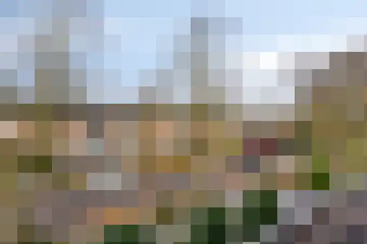 Van der Duyn van Maasdamstraat 30 Lunteren thumbnail 39