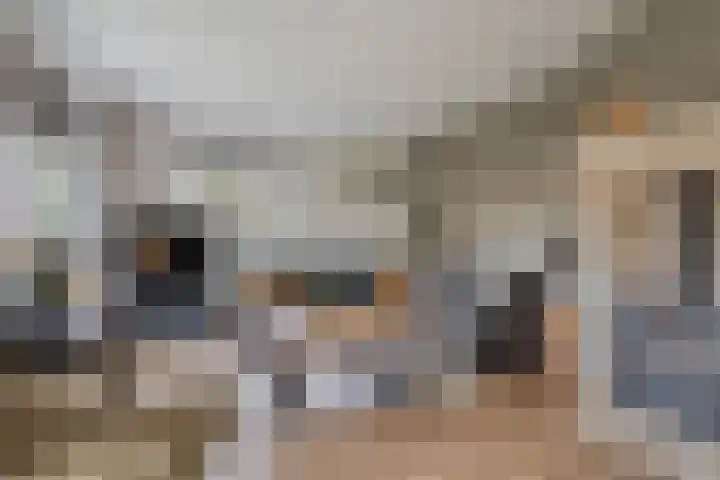 Van der Duyn van Maasdamstraat 30 Lunteren thumbnail 6