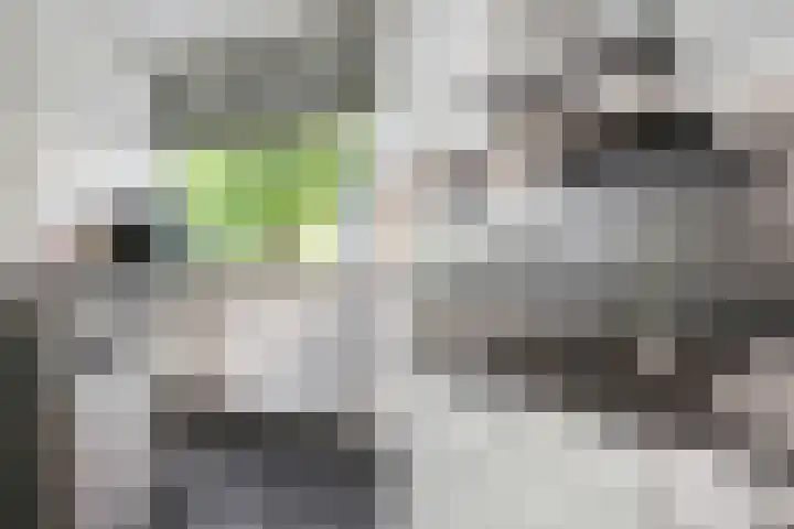 Van der Duyn van Maasdamstraat 37 Bergentheim thumbnail 10