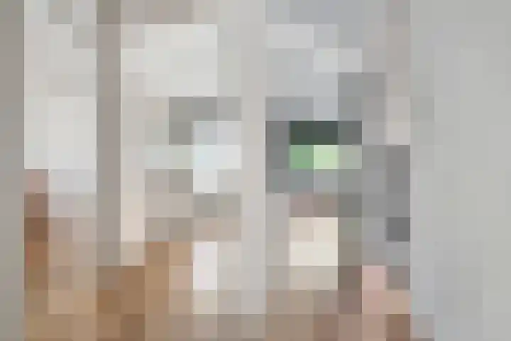 Van der Duyn van Maasdamstraat 37 Bergentheim thumbnail 13
