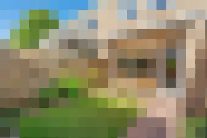 Van der Duyn van Maasdamstraat 37 Bergentheim thumbnail 23