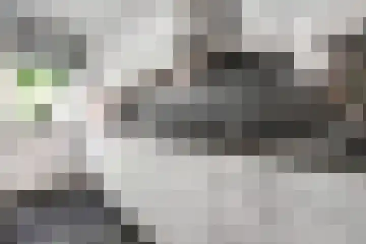 Van der Duyn van Maasdamstraat 37 Bergentheim thumbnail 9