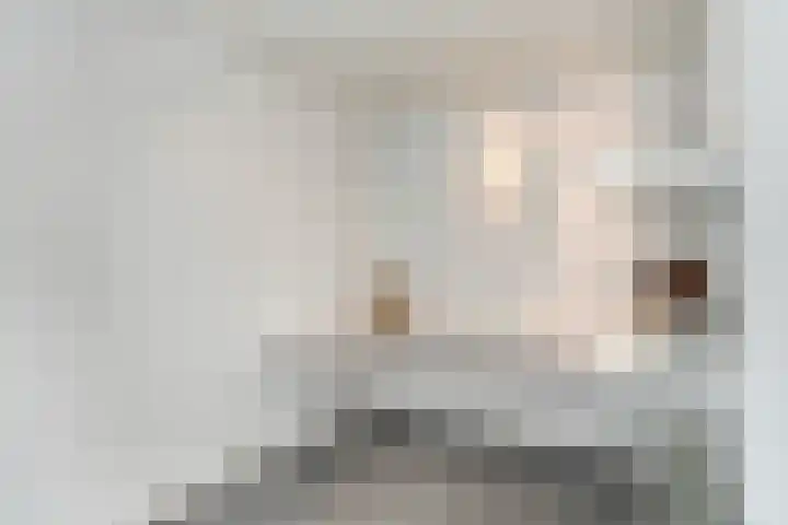 Van der Duyn van Maasdamstraat 4 Elst thumbnail 10