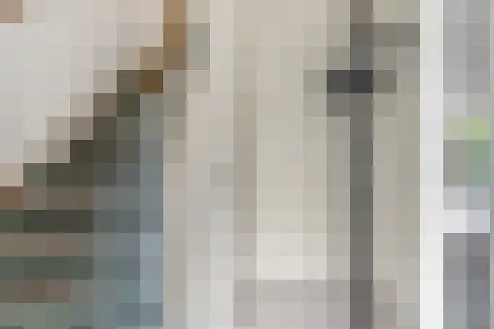 Van der Duyn van Maasdamstraat 4 Elst thumbnail 15