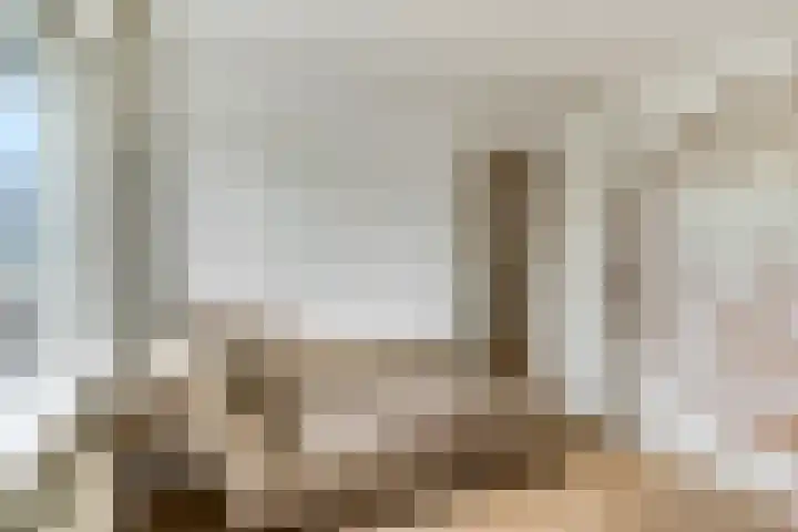 Van der Duyn van Maasdamstraat 4 Elst thumbnail 17