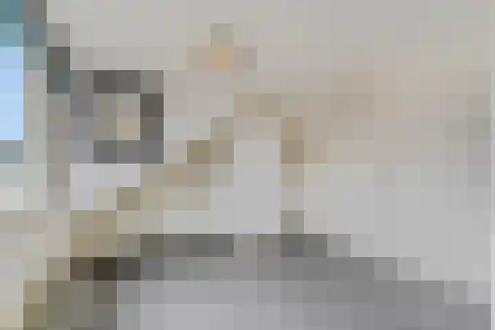 Van der Duyn van Maasdamstraat 4 Elst thumbnail 25