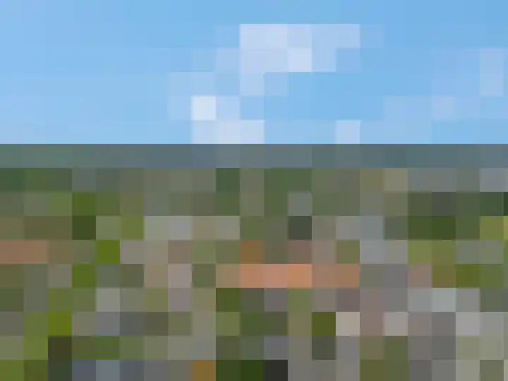 Van der Duyn van Maasdamstraat 4 Elst thumbnail 29