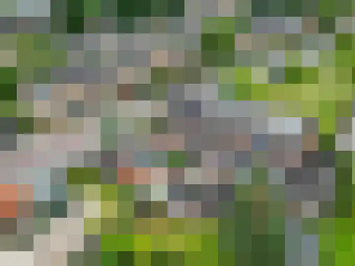 Van der Duyn van Maasdamstraat 4 Elst thumbnail 31