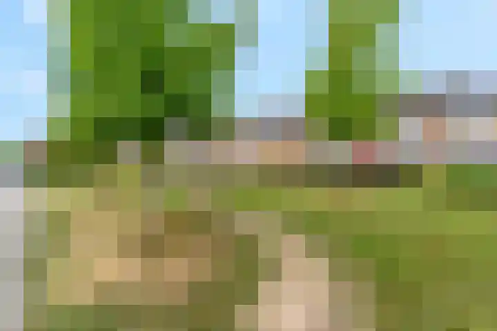 Van der Duyn van Maasdamstraat 4 Elst thumbnail 33