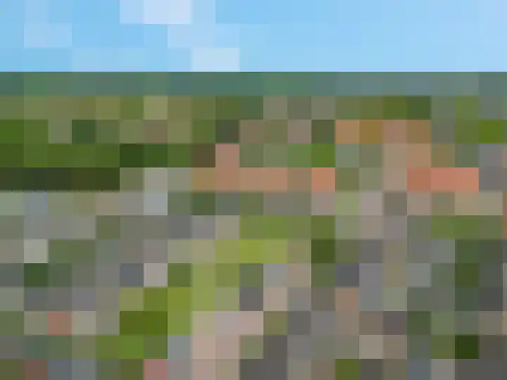 Van der Duyn van Maasdamstraat 4 Elst thumbnail 34